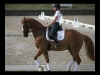 wellington-dressage-1005