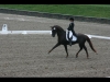 wellington-dressage-2006