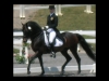 wellington-dressage-2009