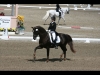 wellington-dressage-2010