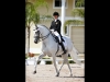 wellington-dressage-3002