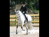 wellington-dressage-3003