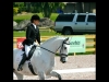 wellington-dressage-3004