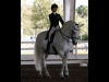 wellington-dressage-3009