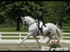 wellington-dressage-3010