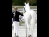 wellington-dressage-3012