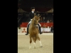 wellington-dressage-4003