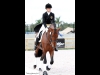 wellington-dressage-5001