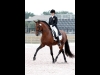 wellington-dressage-5003