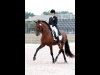 wellington-dressage-5003