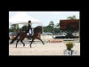 wellington-dressage-5004