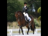 wellington-dressage-5005