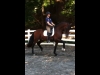 wellington-dressage-5007