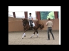 wellington-dressage-6004