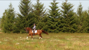 koa and I schooling in the field 