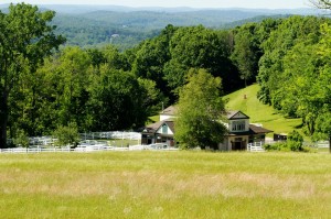 Tripp Stables - photo credit Marco Esteves