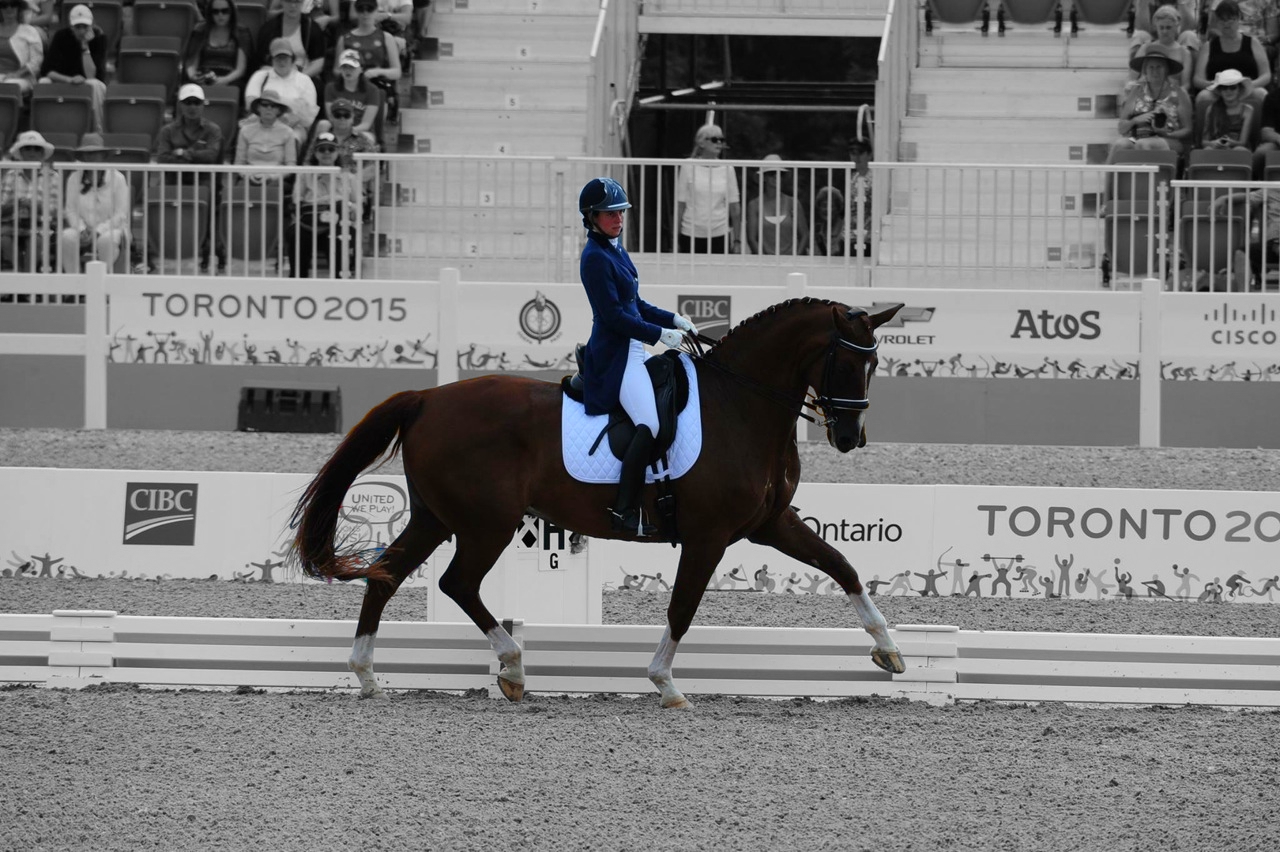 Malena dressage